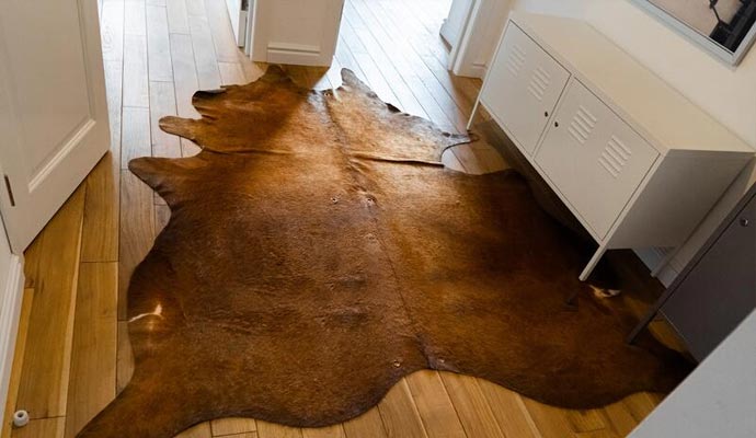 Cowhide Rug Cleaning in the Dallas Fort Worth Area | Dalworth Rug Cleaning