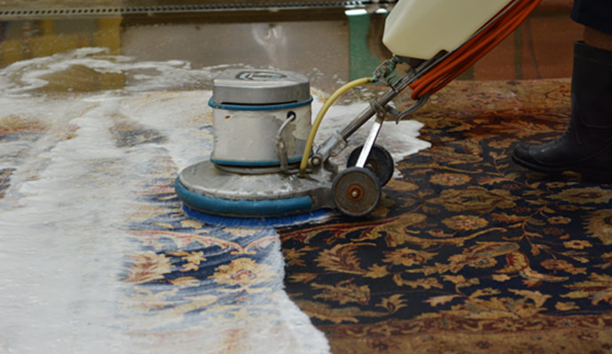 Professional area rug cleaning service
